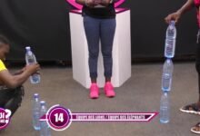 QUI GAGNE ? N°3 - ÉLÉPHANTS VS LIONS - mercredi 19 février 2020 QUI GAGNE ? N°3 - ÉLÉPHANTS VS LIONS - mercredi 19 février 2020