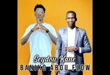 Baniko Abou Flow - Seydou Kané (Officiel 2024)