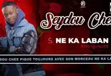 Seydou Chee pique toujours avec son morceau Ne Ka Laban (Musique)