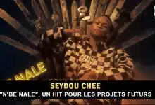 Seydou Chee : Un Nouveau Hit (Musique)