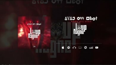 Memo All Star – Loup Magne (Son) Memo All Star – Loup Magne (Son)