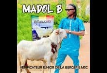 Madol B - Vérificateur Junior De La Bergerie MSC (Officiel 2025)