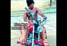 Bakarin Flow - Dôka Wily (Officiel 2025)