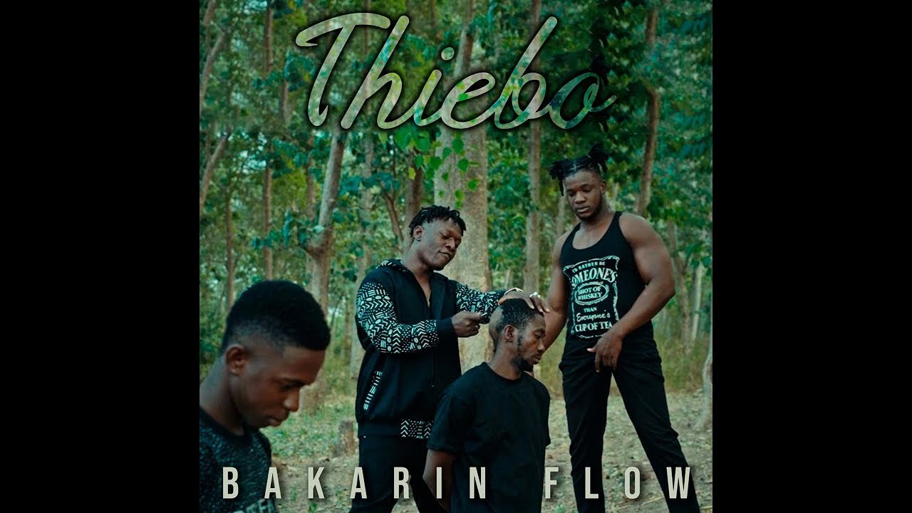 Bakarin Flow - Thiebo (Officiel 2025)
